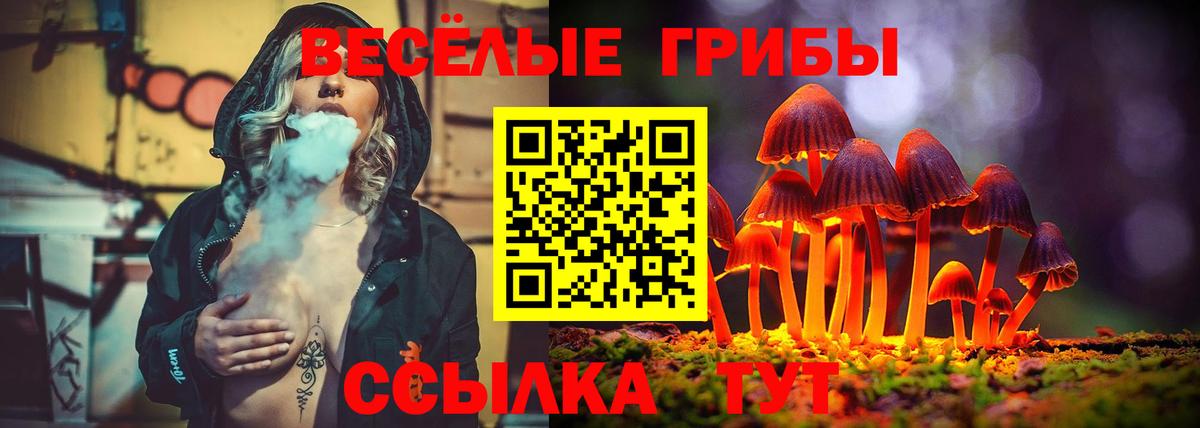 Галлюциногенные грибы GOLDEN TEACHER  Вход с VPN  Гулькевичи  Псилоцибиновые грибы GOLDEN TEACHER 